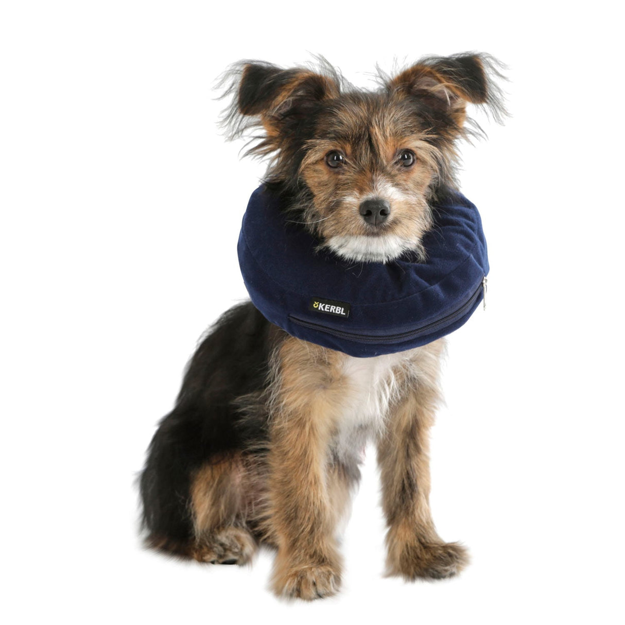 Hunde-Halskrause