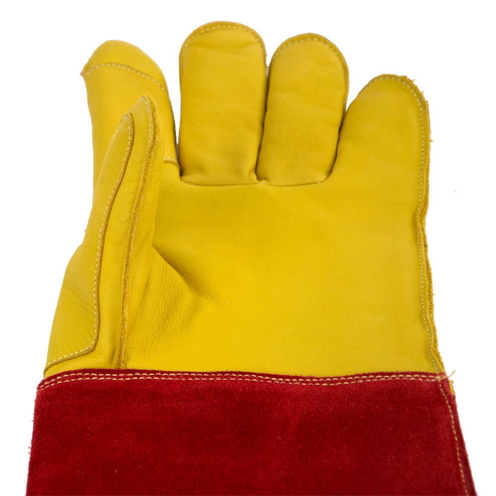 Schutzhandschuh für Hunde & Katzen