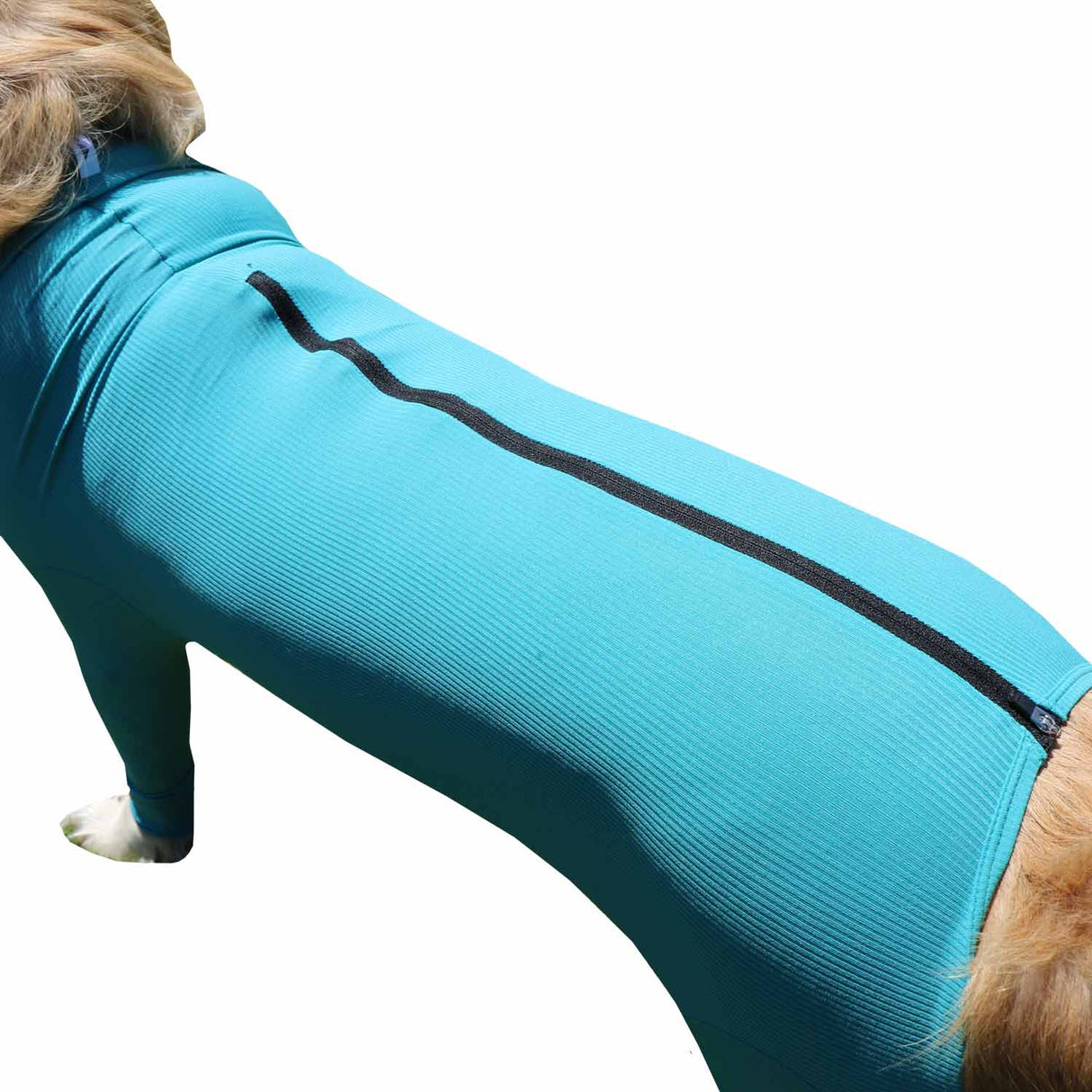 Wundschutzbody Hund Legs & Zipper