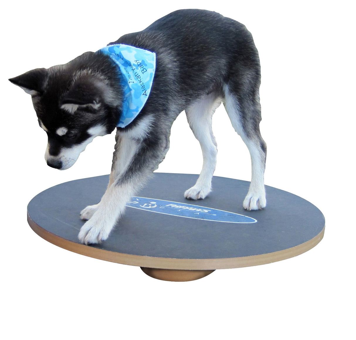 FitPaws® Wackelbrett