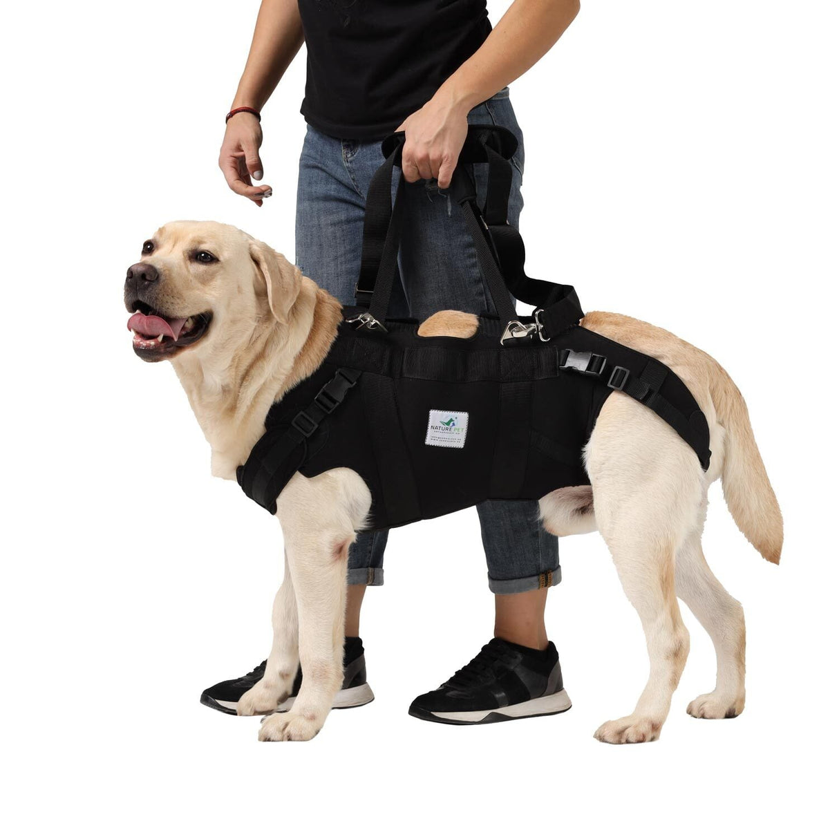 Ganzkörpertragehilfe für Hunde