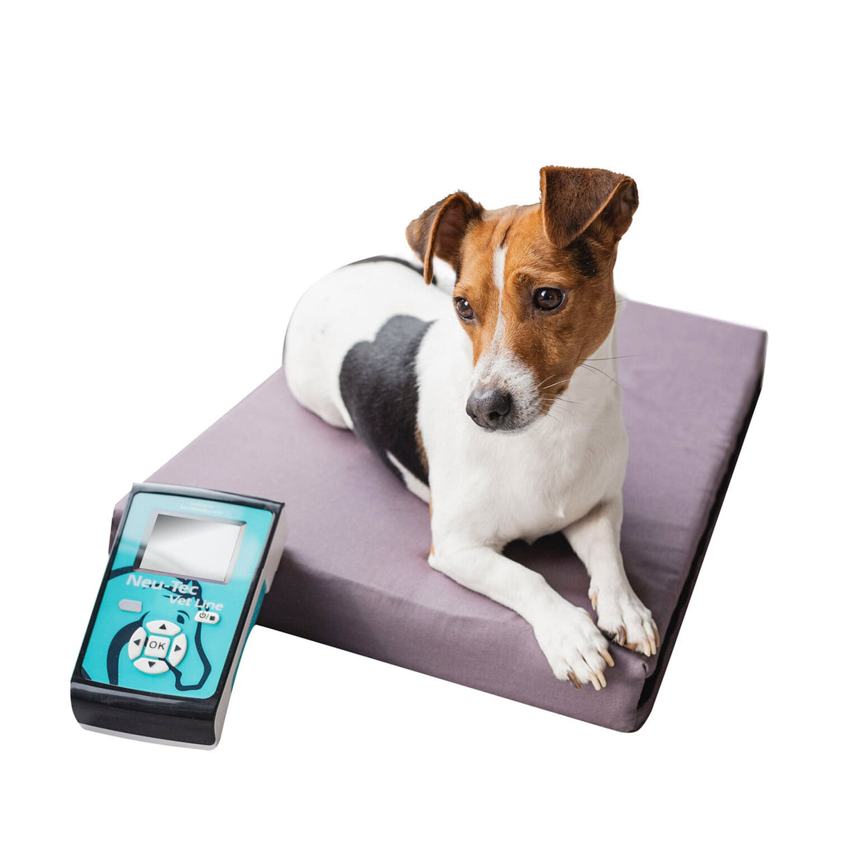 Vet Line "Pet" für Kleintiere