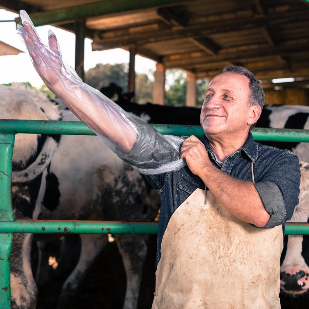 Veterinärhandschuhe