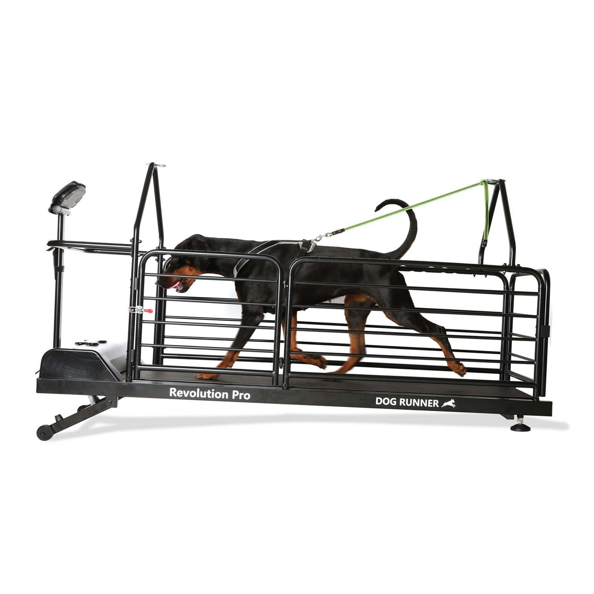 DOG RUNNER Revolution Pro