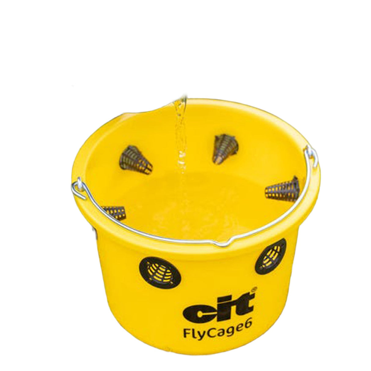 cit Fliegenfalle FlyCage6