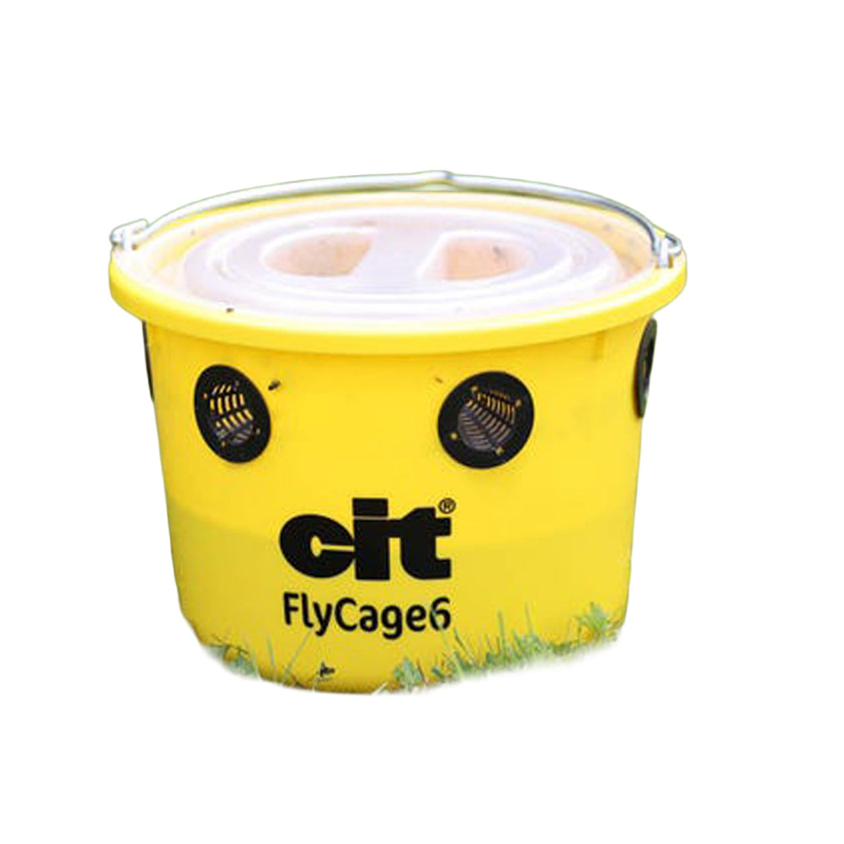 cit Fliegenfalle FlyCage6