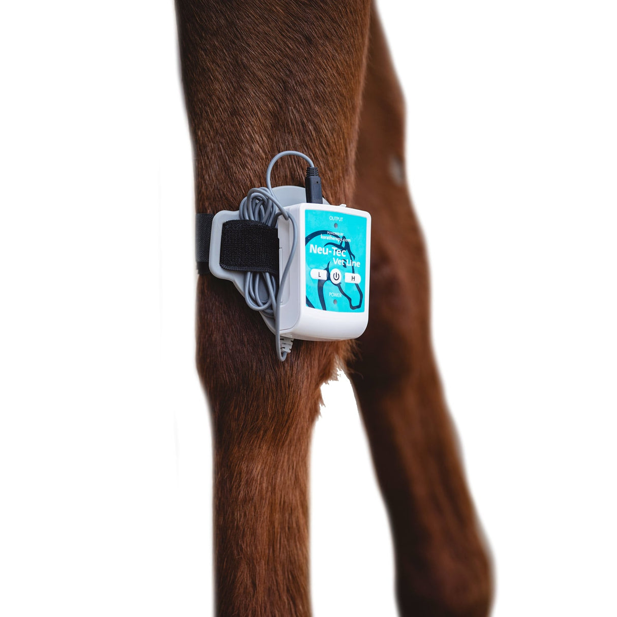 Vet Line "Equi Ortho Quick"
