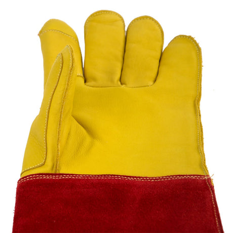 Schutzhandschuh für Hunde & Katzen