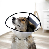 Halskragen für Hunde