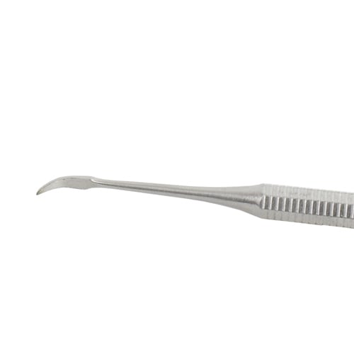 Zahnreiniger Scaler