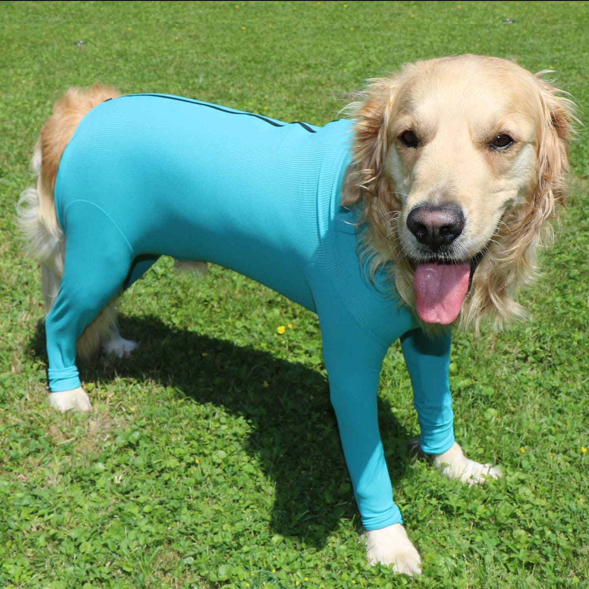 Wundschutzbody Hund Legs & Zipper