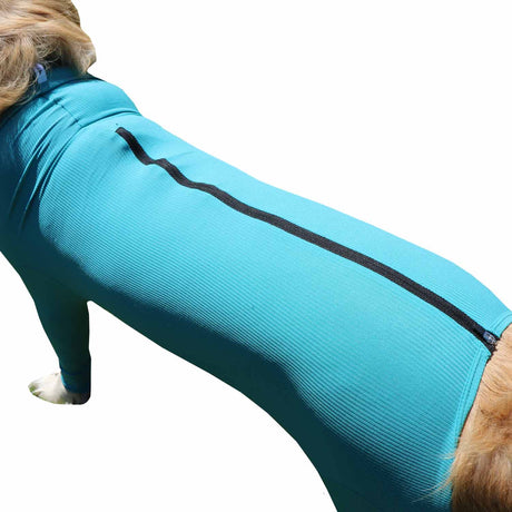 Wundschutzbody Hund Legs & Zipper