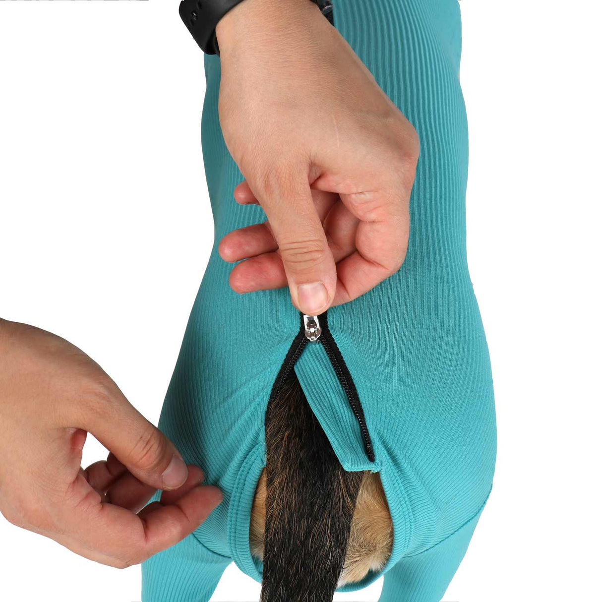 Wundschutzbody Hund Legs & Zipper