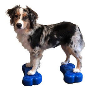 FitPaws® K9FITbones™ mini