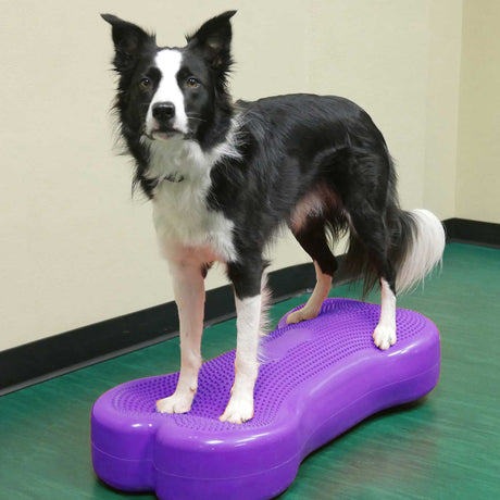 FitPaws® K9FITbone™
