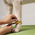 Medium Karpalgelenkbandage