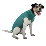 Wundschutzbody für Hunde