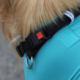 Wundschutzbody für Hunde