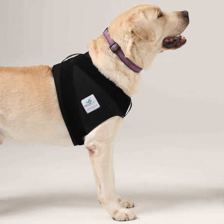 Schulterbandage für Hunde