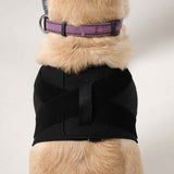 Schulterbandage für Hunde