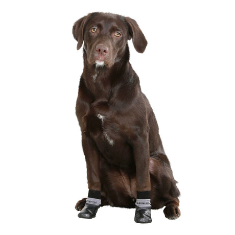 Hundesocke Susi
