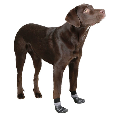 Hundesocke Susi
