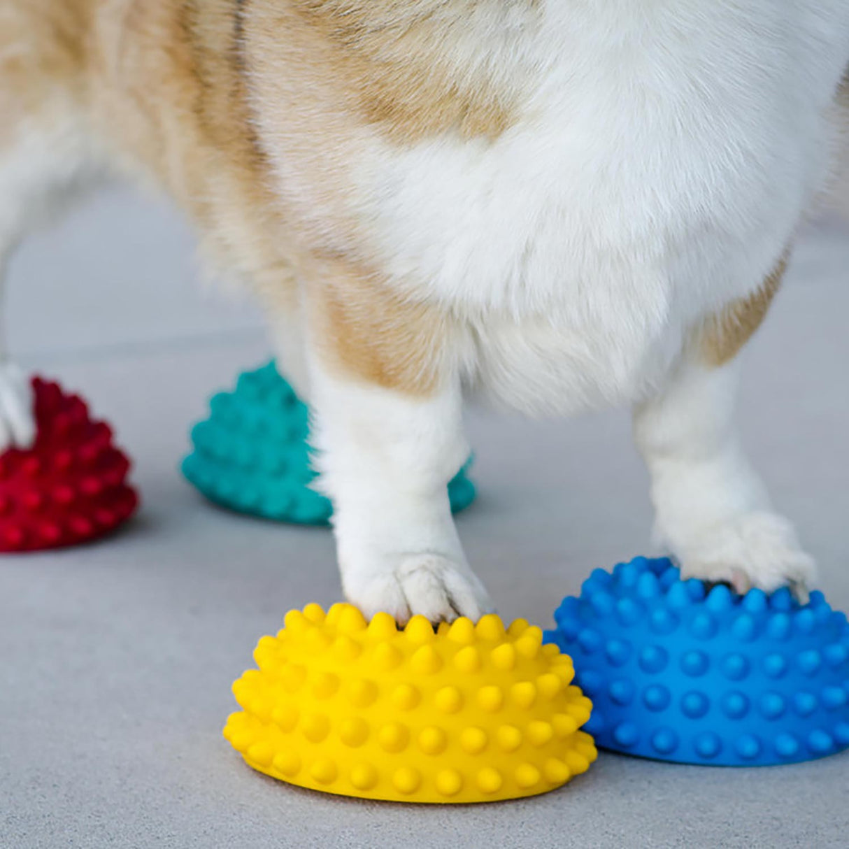 FitPaws® Paw Pods