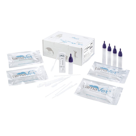 Parvovirose Test 