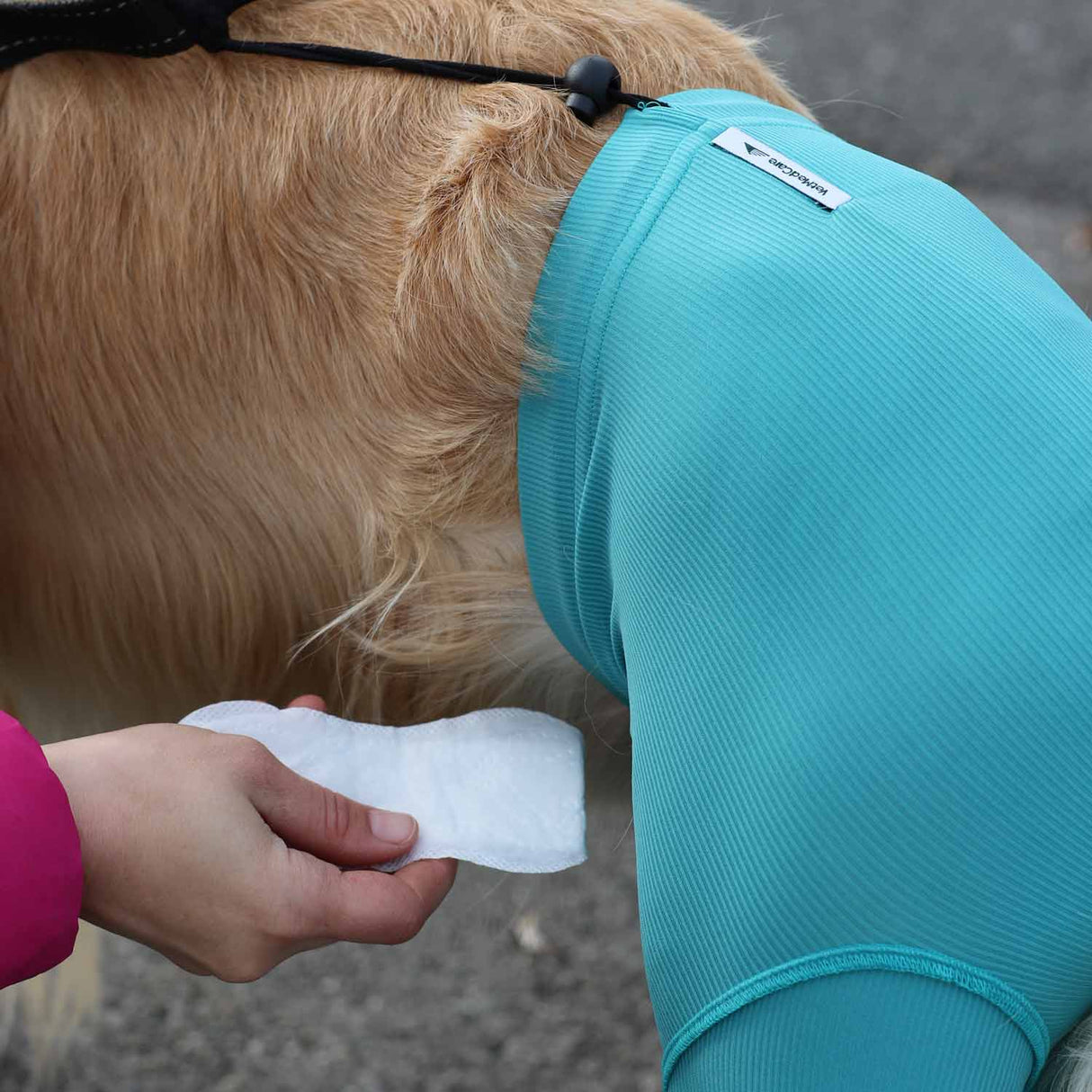 Schutzhose