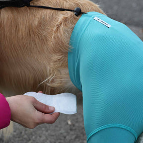 Schutzhose