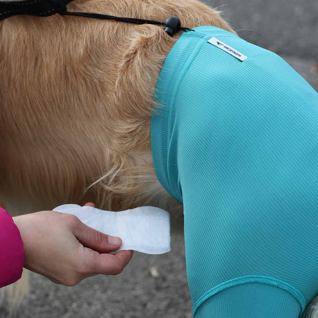 Schutzhose