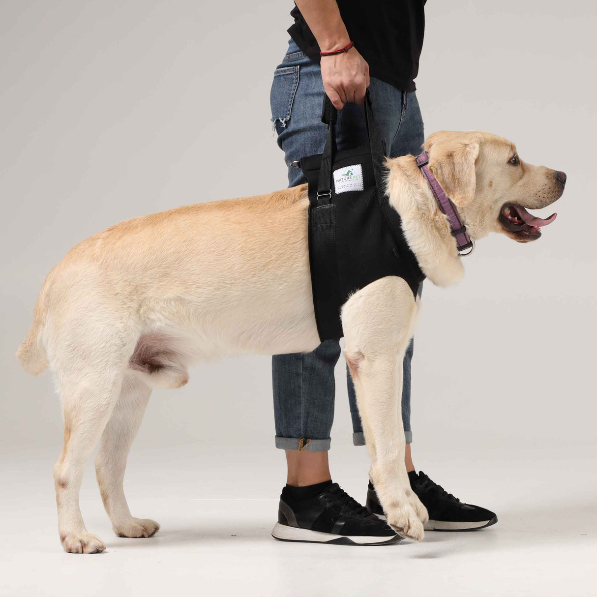 Hundetragehilfe vorne
