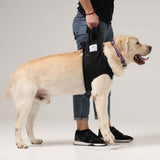 Hundetragehilfe vorne