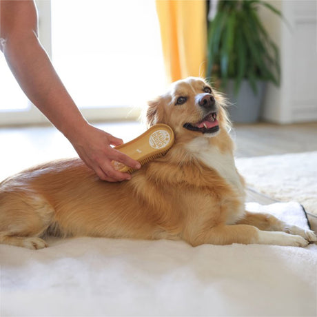 MagicBrush Dog Soft