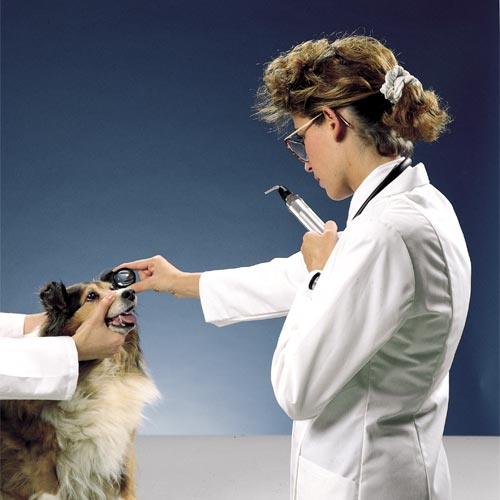 Ophthalmoskopie-Linse