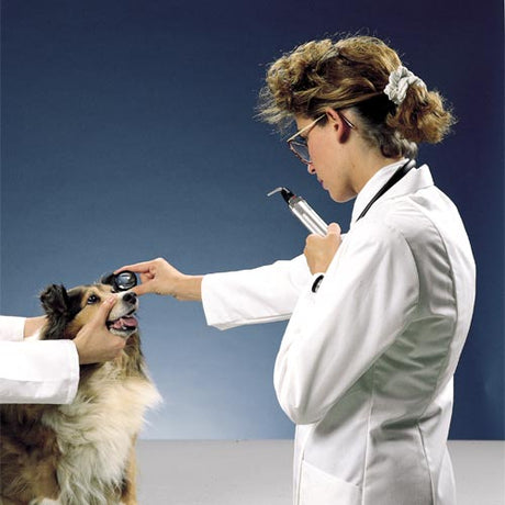 Ophthalmoskopie-Linse