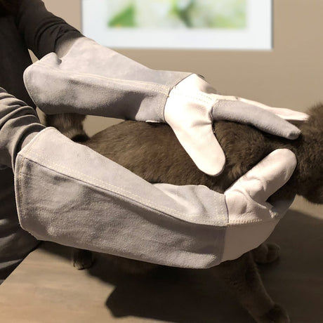 Schutzhandschuhe aus Leder