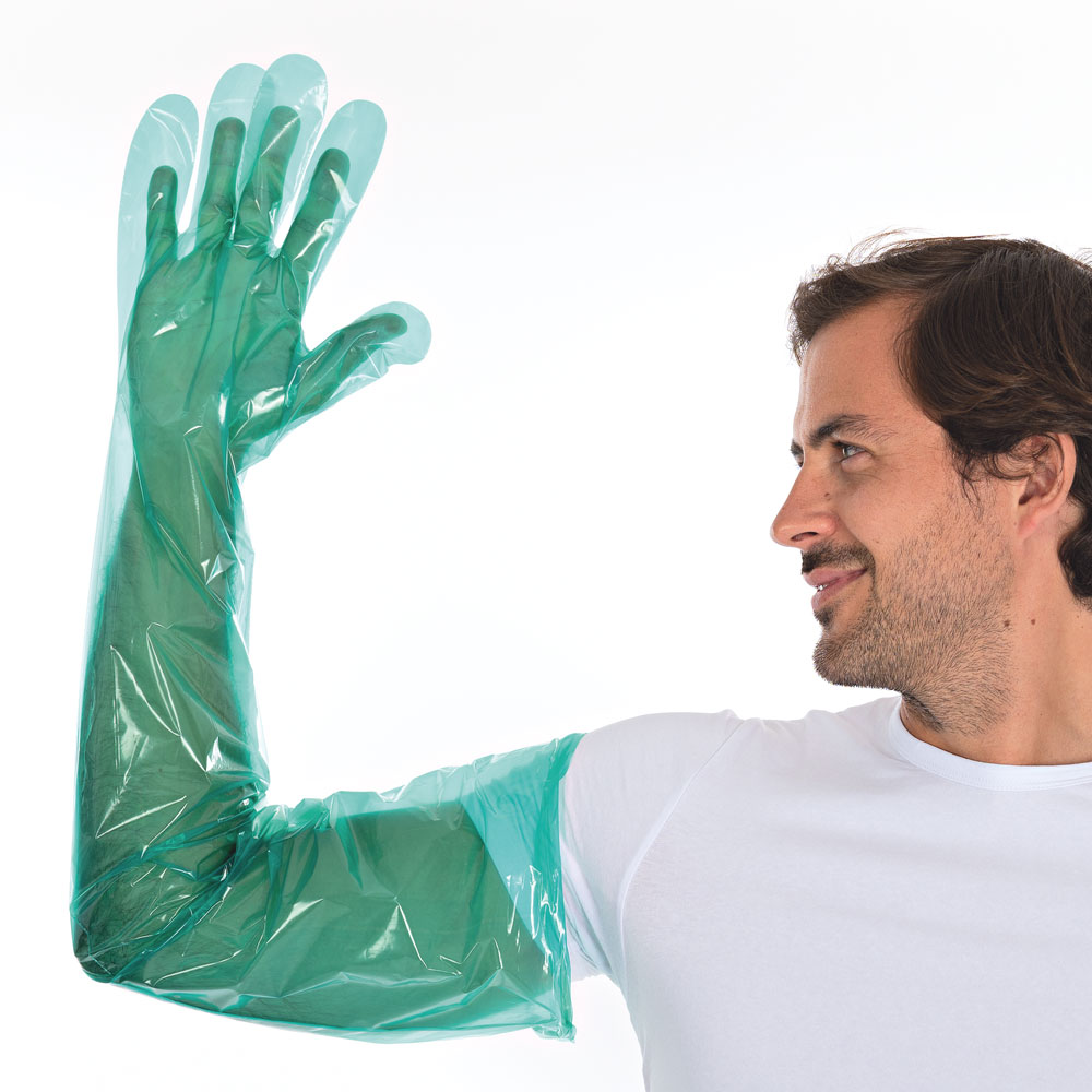 LDPE-Handschuhe Softline Long - grün