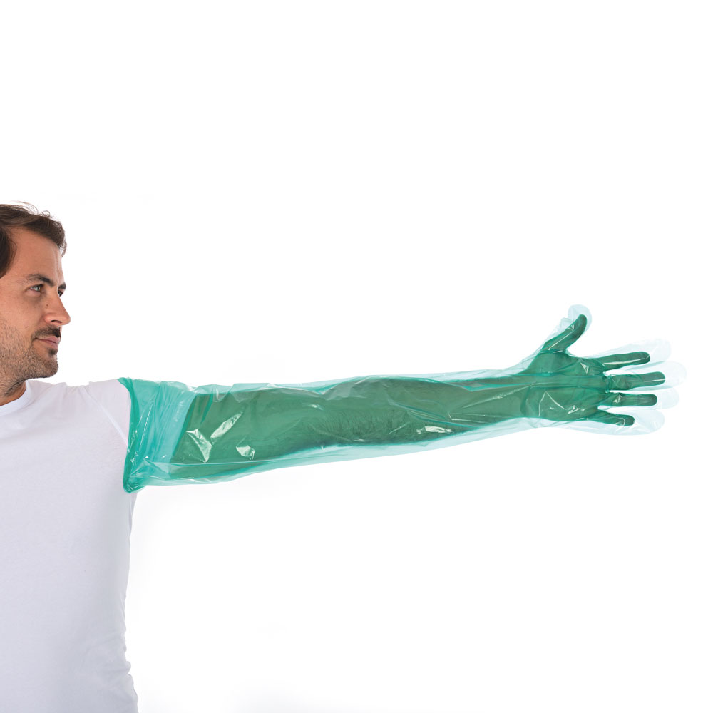 LDPE-Handschuhe Softline Long - grün