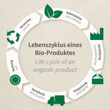 Bio PLA-Handschuhe - transparent