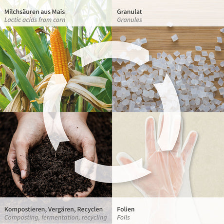 Bio PLA-Handschuhe - transparent