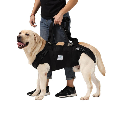 Ganzkörpertragehilfe für Hunde