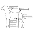 Ganzkörpertragehilfe für Hunde