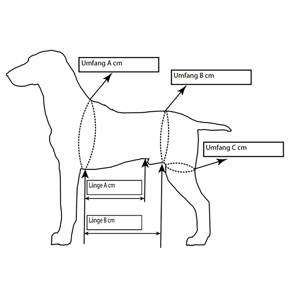 Ganzkörpertragehilfe für Hunde