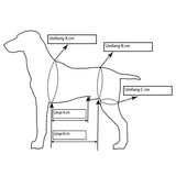 Ganzkörpertragehilfe für Hunde