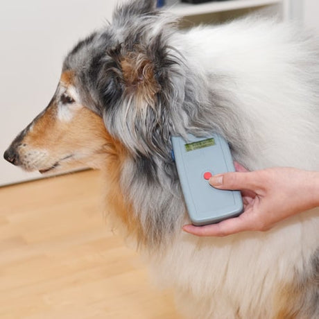 Chip-Lesegerät «Multi-Pocket-Reader»