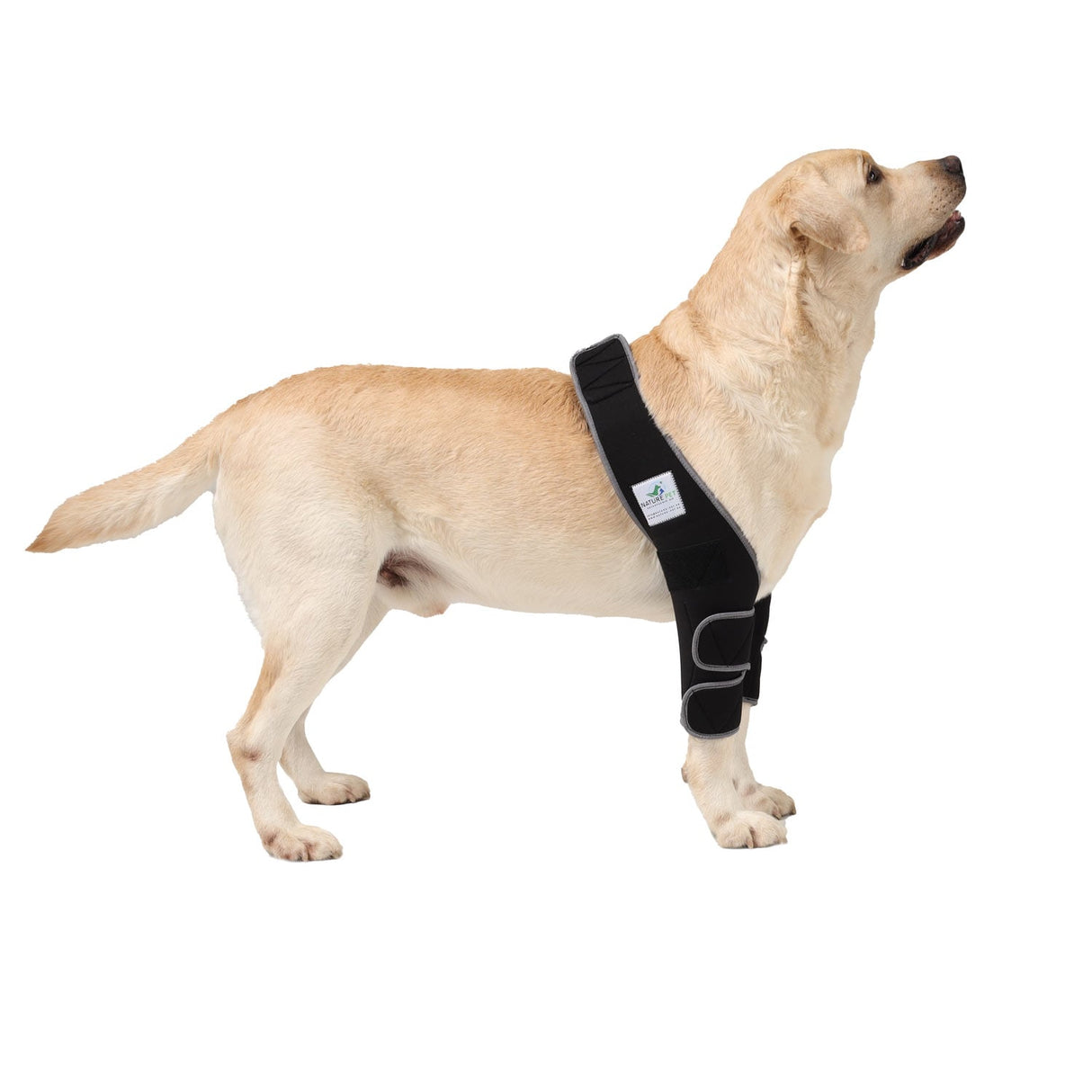 Ellenbogenbandage für Hunde