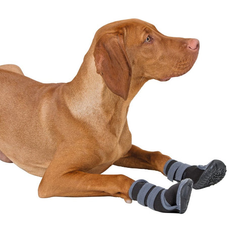 Schutzschuhe für Hunde «Active»
