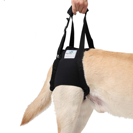 Hundetragehilfe hinten
