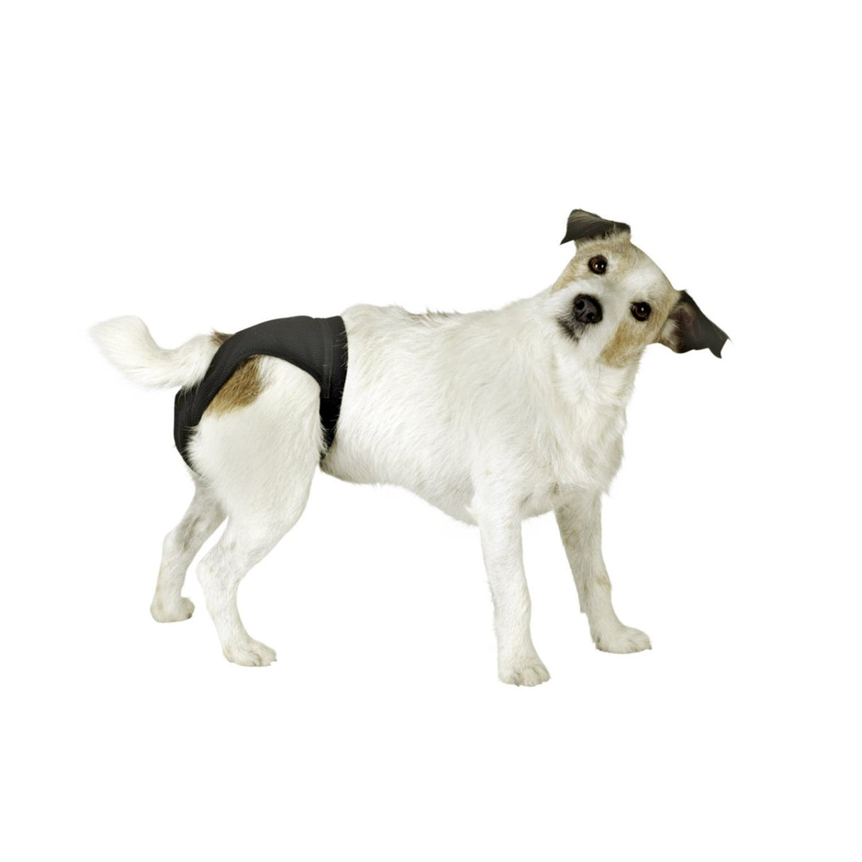 Luxus Schutzhose